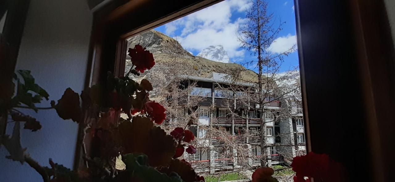Matterhorn Studio Cervinia Брей-Червінія Екстер'єр фото